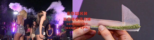 гидра Баксан